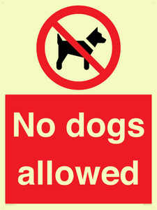 No dogs allowed